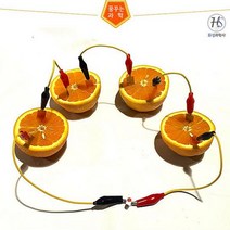 화성과학사 과일전지만들기세트 발광 다이오드 전자회로