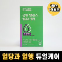유한양행 와이즈헬스 유한밸런스 혈당과 혈행, 1개