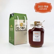 예천 특산 장수벌꿀 천연 토종 아카시아 잡화 밤꿀 2.4kg 1.2kg 유리단지꿀, 1개, 장수 아카시아꿀 2.4kg