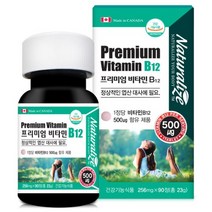 네추럴lize 프리미엄 비타민 b12 90정 메틸 코발라민 고함량 비타민비 영양제 추천, 2개, 3개월(90정)