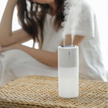 듀얼 안개분사 C타입전원 무드등가습기 미니 원룸 차량용 led스탠드 습도, 핑크-USB전원