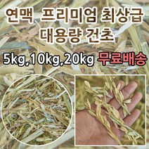 연맥 프리미엄 5kg~20kg 대용량 압축 건초 토끼 염소 먹이 및 깔짚 연맥짚, 연맥 5kg