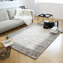 모던클래식 아슬란터키산 디자인 카페트 160x230 - 2color, 타입1