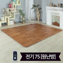 일월 뉴나노륨 온돌마루 전기카페트매트183x75_원난방, 없음
