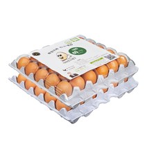 [계란초밥네타] [당일 생산] 닥터안스에그 무항생제 인증 수의사 계란, 대란 60구, 3120g 이상