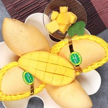 블랙프리미엄 태국 골드망고 (2.5kg) MANGO