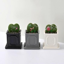[행복한세상] 로마주사각(소)-하트호야 3종 택 1, 그레이