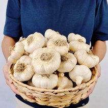 산지직송 농장직송 유황 먹은 홍산마늘, 3kg / 대, 1개