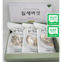 바로세움 잎새버섯 건조 100g 200g (천기누설 6시 내고향 생생정보 촬영지)무농약 GAP인증 강원도 양양특산물, 1