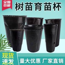 묘목 컵 비닐포트 영양 그릇 플라스틱 특수 모양의 모종 냄비 얇은 고영양 가방 일회용, 17.두꺼워진 둥근 입 1630 500