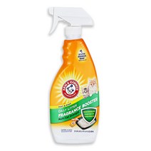 암앤해머 캣리터 디오더라이저 스프레이 636ml, 1개