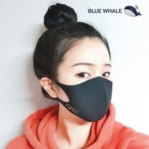 블루웨일 패션마스크 입체형 2매입