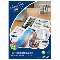 몬디 컬러LASER용지 A3 100매 120g, 단품