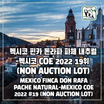 (커피생두) 103 멕시코 핀카 돈라파 파체 내추럴-멕시코 COE 2022년 19위 (NON AUCTION LOT) 500g