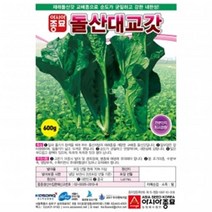 갓종자씨앗 돌산대교갓 (7g)