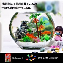 거북이어항 크라운로치 안시숏핀 윈스팜 안시롱핀 구피 카디널테트라 라미네이지 오란다금붕어 베타물고기 엔젤피쉬 진주린 무환수 어항 물멍 수족관 크리 에이 티브 작 거실 책상, 25 타원형 평면 실린더 + 가로 세트