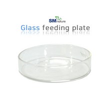 SM 먹이피딩용 유리접시 [대] 12cm, 단품