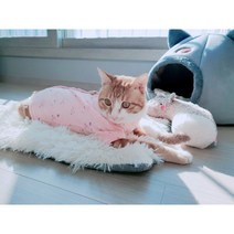 부투펫 고양이 환묘복 환자복 중성화수술 환견복 올인원 4가지종류, 연핑크, 부드러운똑딱이