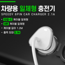 2.1A 일체형 차량용 시거잭 충전기 8핀 c타입, Ctype