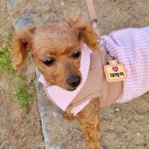 댕냥라이프 강아지 고리형 네임택 애견 인식표 자수 하네스 목걸이 이름표, 코랄