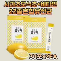 독일산 홍차 추출 사과초모식초 비타민워터 콤부차 프락토올리고당 장내유익균 유산균 물에타먹는가루 홍차 추출 분말 레몬워터 20대 30대 여성 남성 교수님선물