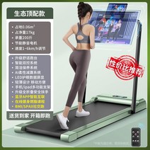 접이식 트레드밀 런닝 머신 워킹 패드 무동력 실내 가정용 홈트 플랫 워킹 피트니스, 스마트 그린