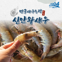 [ 민국새우농장 ] 국내산 신안 왕새우 특A+ 고품질 생새우 1kg 흰다리 새우 대하, 생물 왕새우 1kg (28미~34미 내외), 1개