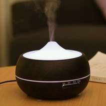 향로 디퓨저 심신안정 명상 선물 Electric Incense Burner Essential Oil Smoke Fountain H [G00151389], 01-Styk -3-151389