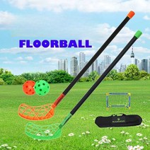 플로어볼 세트 드라이랜드 아이스하키 헤드 체육 실내, 더블폴 /더블볼 65cm + 골대 색상랜덤 오른손 스틱