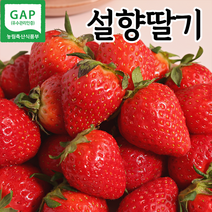푸릇푸릇 제철 딸기 설향딸기 특사이즈 1kg 2kg, 딸기 1kg (500gx2팩)