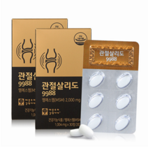 관절 9988 엠에스엠 30정 2박스 MSM 무릎 관절에 좋은 영양제 식이유황 옵티MSM 보스웰리아 홍화씨, 30정 - 2박스