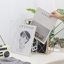 1단 2단 골드 블랙 화이트 책꽂이 인테리어 틈새 사무실 스탠드 / 이케아 스타일, 골드 1단