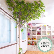 실내인테리어 인조나무 123종 / 플트 조화나무 C, C06.천장형 T자형 자작나무 250cmK/벽면형, 1개