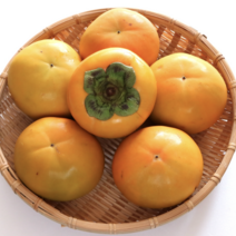 경남 창원 진영 단감 5kg 10kg 소과 중과 대과, 10kg L(40-45개)