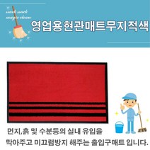 먼지차단 신발털이용 사무실현관매트 소형 오염방지 현관발매트 정육점개업선물 매장