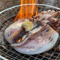 봉선장 서해안 손질 갑오징어 6마리, 대 4마리 (450g x 2)