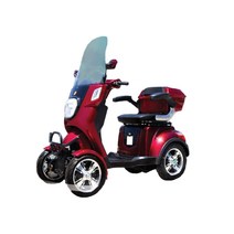 이지모터스 국산 안전한 네발 오토바이 사륜 스쿠터 전동차 EG-270S