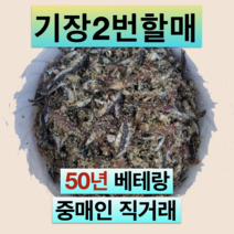 기장 생멸치 소금간 15kg 30kg - 통 멸치젓 부산 대변항 액젓 김장, 22년 봄 햇멸치 30kg, 1개