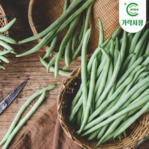 [온도씨]가락시장 그린빈스 500g, 단품