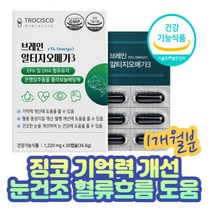 회사원 혈행건강 업무 기억력개선 징코 rTG오메가3 직장인 남성 여성 눈 안구 건강 혈중 중성 지방 지질 개선 퓨어 고순도 EPADHA함유유지 홍삼 플라보놀 배당체 연질 캡슐