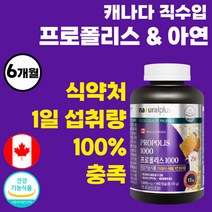 캐나다 직수입 온가족 프로폴리스 1000 아연 복합 기능성 플라보노이드 17mg 대용량 포르폴리스 프로포리스 프로플리스 플라보이드 폴라보노이드 PROPOLIS 여성 남자 40대, 180캡슐 x 1개 (6개월분)