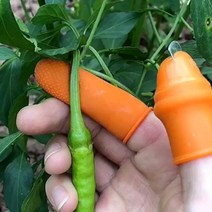 당돌 손가락칼 고추 오이 따기 골무칼 검지장갑 5개 증정, 일자칼_큰손
