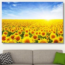 네모아트 돈들어오는 해바라기 꽃 재물운 금전운 풍수지리 인테리어 사진 그림 캔버스 액자 꼭꼬핀 증정, 02. 번창해 해바라기, 5호(90*60cm)-캔버스액자