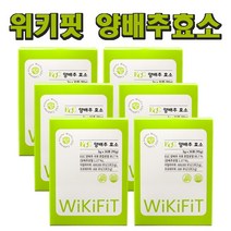 위키핏 EGC 양배추효소 곡물 발효 빠른 소화 맛있는 추천효소제, 90g, 6개