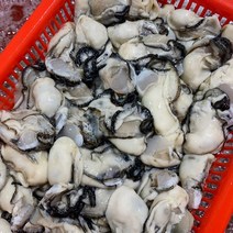 통영 생굴 깐굴 1kg 제철 음식 냉동굴 굴 무침 굴찜 굴전 간장굴장, 깐 생굴 1kg(대)
