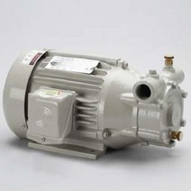 유연 고온고압웨스코펌프/S-2522 2.2KW, 1개