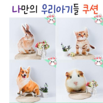 반려동물 쿠션 강아지 고양이 포토 주문제작 맞춤 사진, 50cm 양면