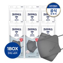 [내일도착] 크리넥스 KF94 컴포트핏 마스크 그레이 대형 5PX6개, 없음