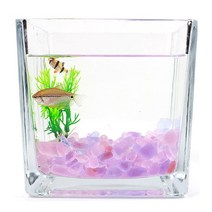 핑크 퍼플 컬러 돌 유리 자갈 250g 어항 꾸미기 구피, 믹스퍼플돌, 믹스퍼플돌