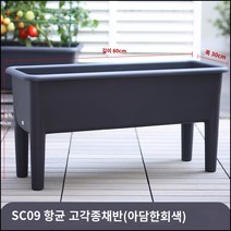 킹마이크로 플라스틱 수경재배 회색 항균 고족종 채소 화분 베란다 직사각 하이풋 종채 야채 식재용, 단품